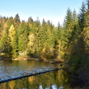 deník trasy šumava